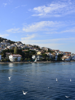Full Day Princes' Islands Tour In Istanbul