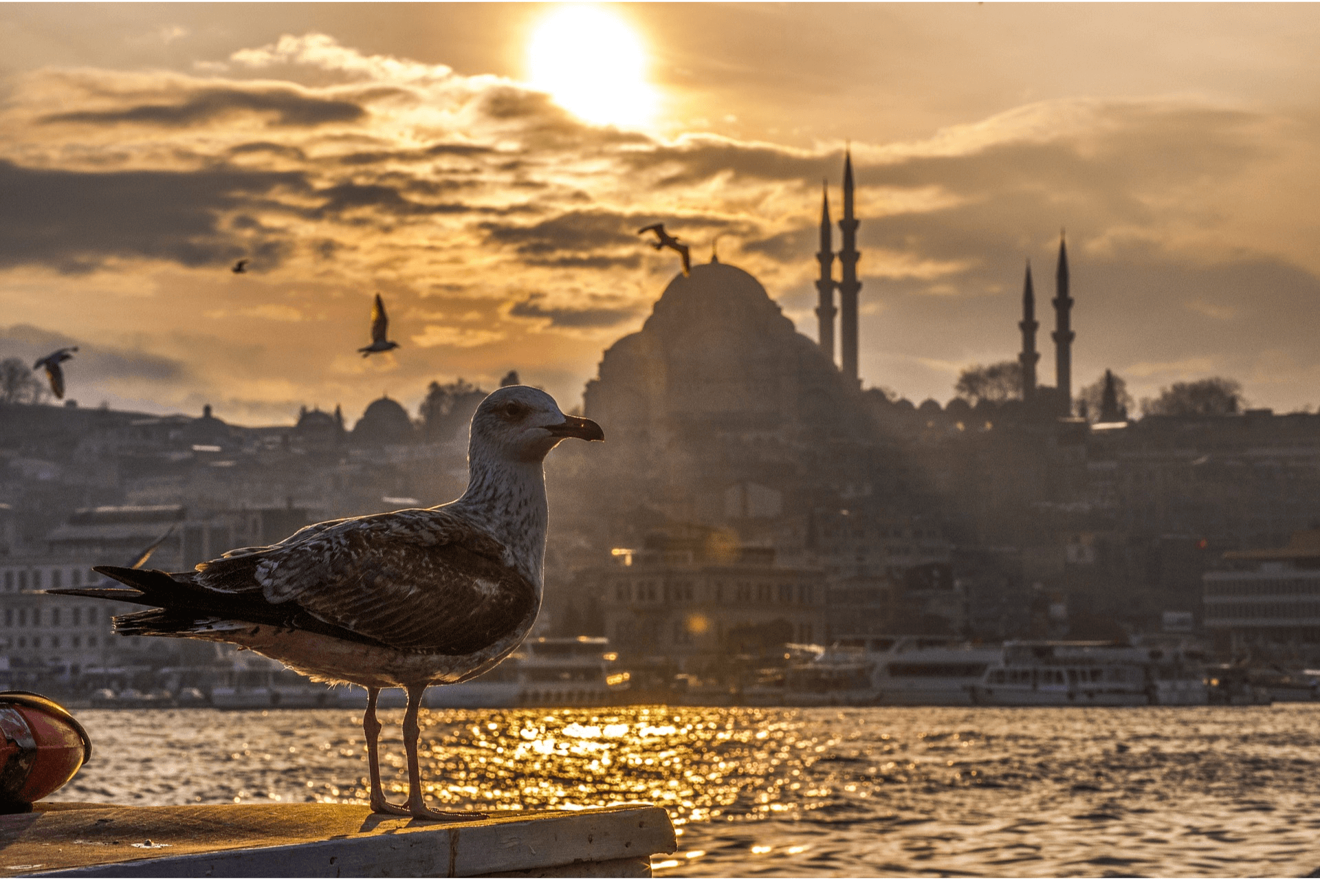 Istanbul City and Sightseeing Tours